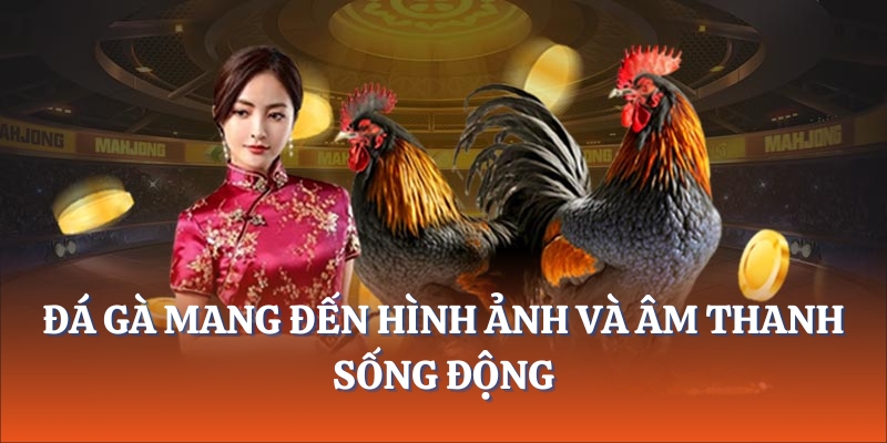Đá Gà mang đến hình ảnh và âm thanh sống động